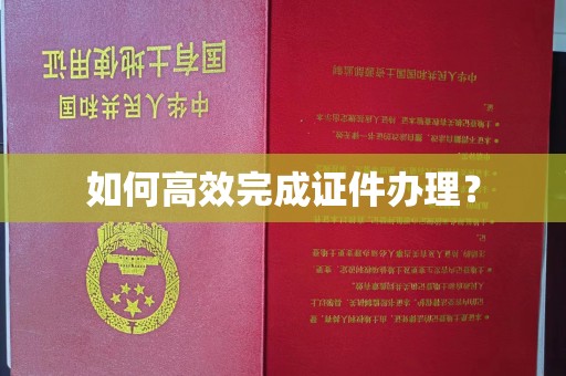 海丰如何高效完成证件办理？